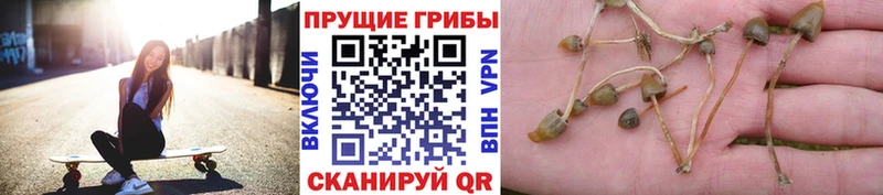 Галлюциногенные грибы Magic Shrooms Воткинск