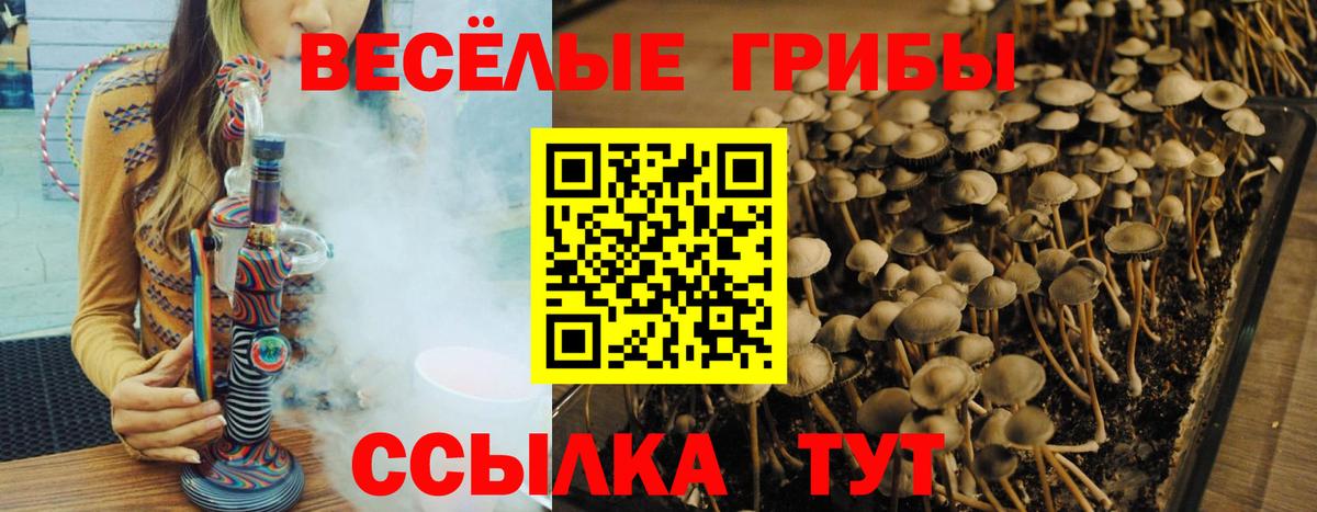 Галлюциногенные грибы Magic Shrooms Воткинск