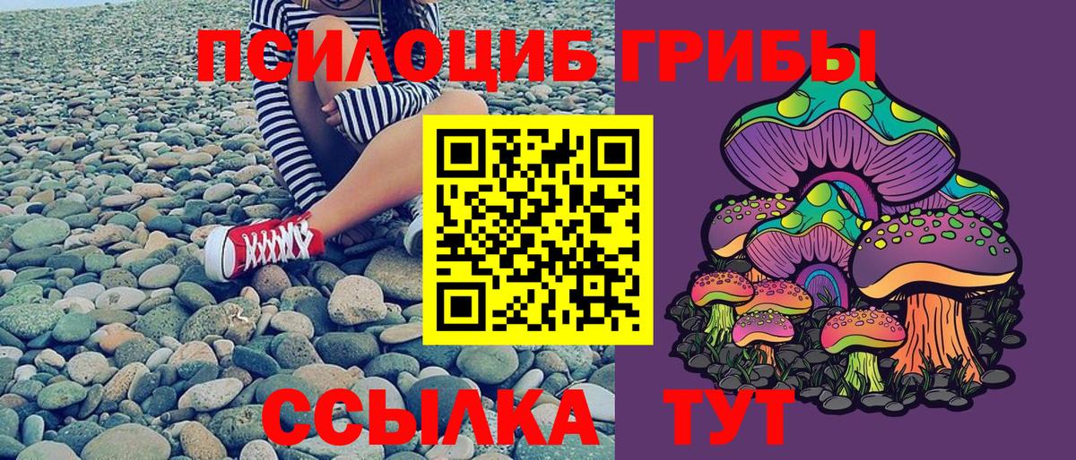 где купить наркотик  Воткинск  Галлюциногенные грибы GOLDEN TEACHER 